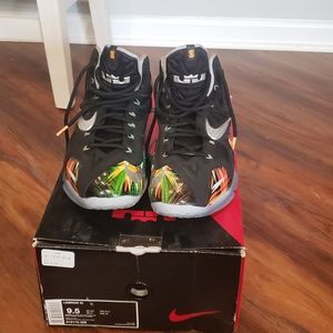 Nike Lebron 11 Everglades